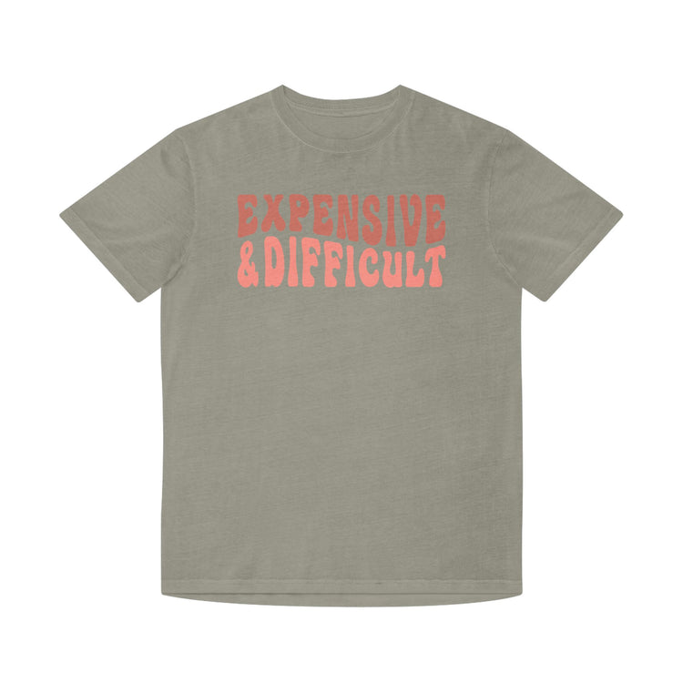 Graphic Tee Faded Shirt - Expensive & Difficult Design